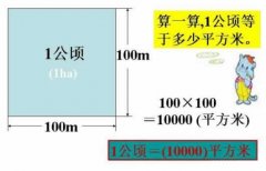 一公頃等于多少平方米及一畝等于多少平方米？面積單位換算