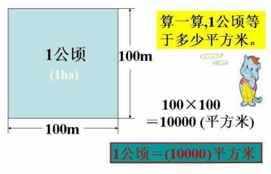 一公頃等于多少平方米