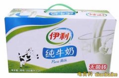 伊利純牛奶多少錢一箱？伊利純牛奶