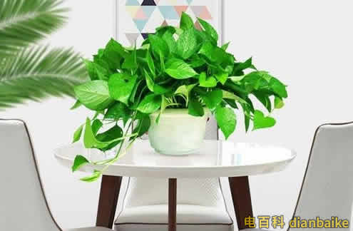新房裝修后多久可以入住？新房裝修好后采取的除甲醛措施