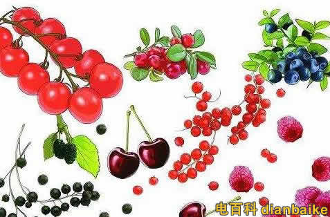 花青素能去斑嗎？花青素的功效與作用和禁忌及花青素含量高的食物
