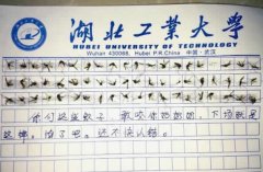 60只蚊子寫作文是怎么回事？60只蚊子寫作文來龍去脈（組圖