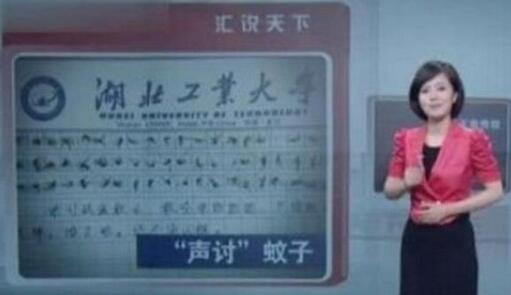 60只蚊子寫作文是怎么回事?60只蚊子寫作文來龍去脈(組圖)
