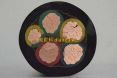 橡塑和橡套電纜那種在戶外用好一些？橡套電纜和橡塑電纜的