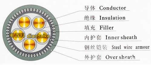 鎧裝電纜結構圖