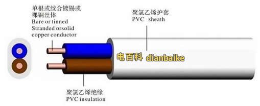 bv線結構
