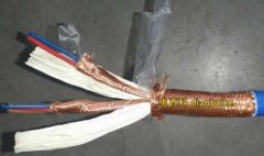 DJYPVP是什么電纜？DJYPVP電纜型號規格
